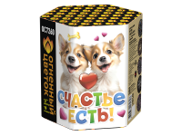 Счастье есть! Салют купить в Москве | salutsklad.ru