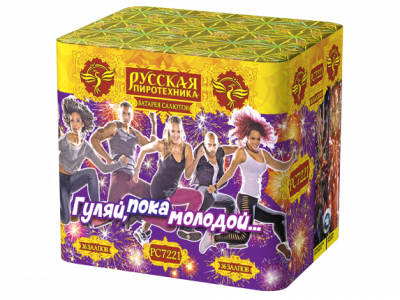 Гуляй, пока молодой Салют купить в Москве | salutsklad.ru